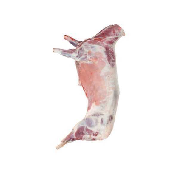 #50 Lamb Carcass (No shoulder) Loose pack in Case